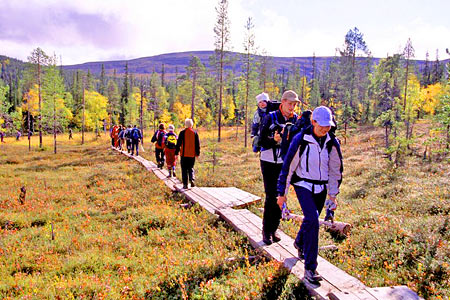 Trekking over marshland