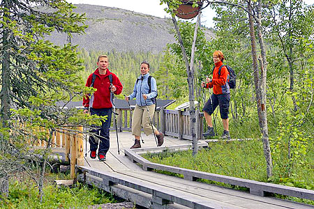 Nordic walking has become popular