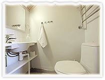 Toilet upstairs