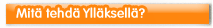 Aktiviteettej� Yll�ksell�